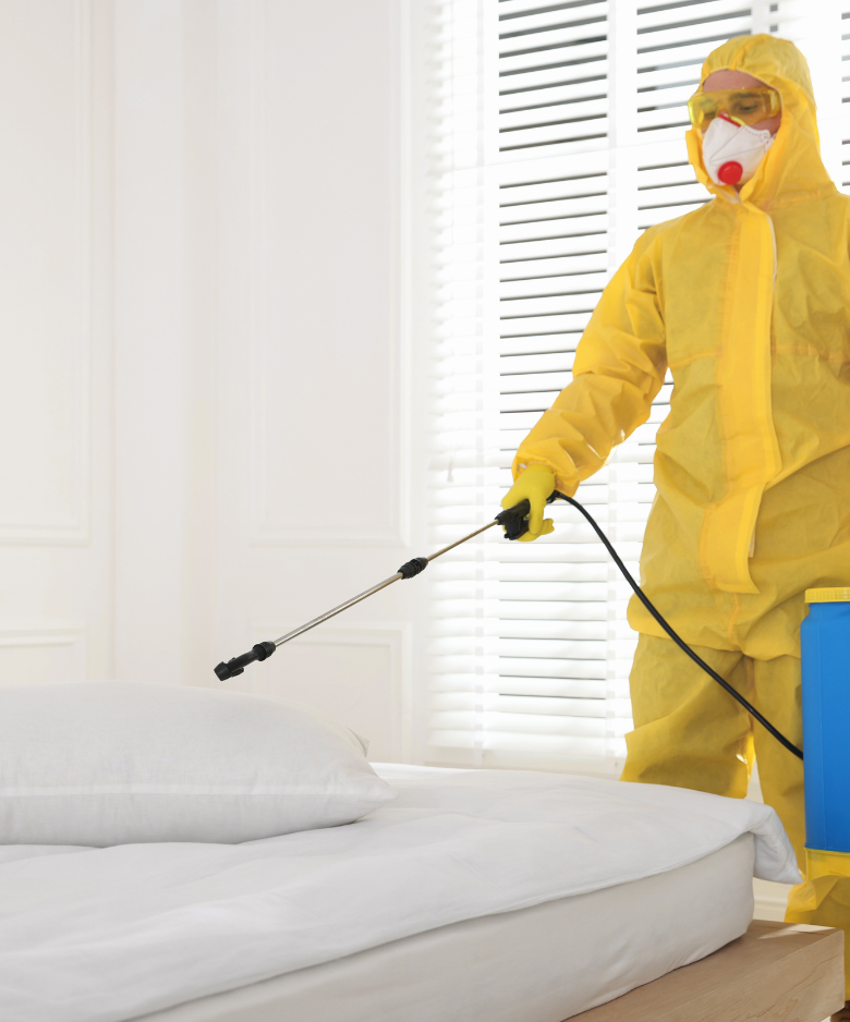 Professional Pest Control Team in Hindmarsh